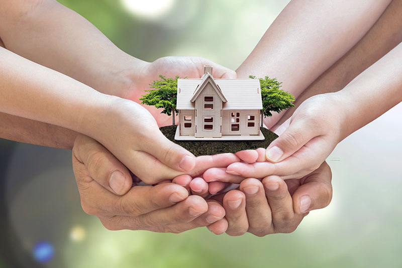 family hands holding small house, yard, and trees