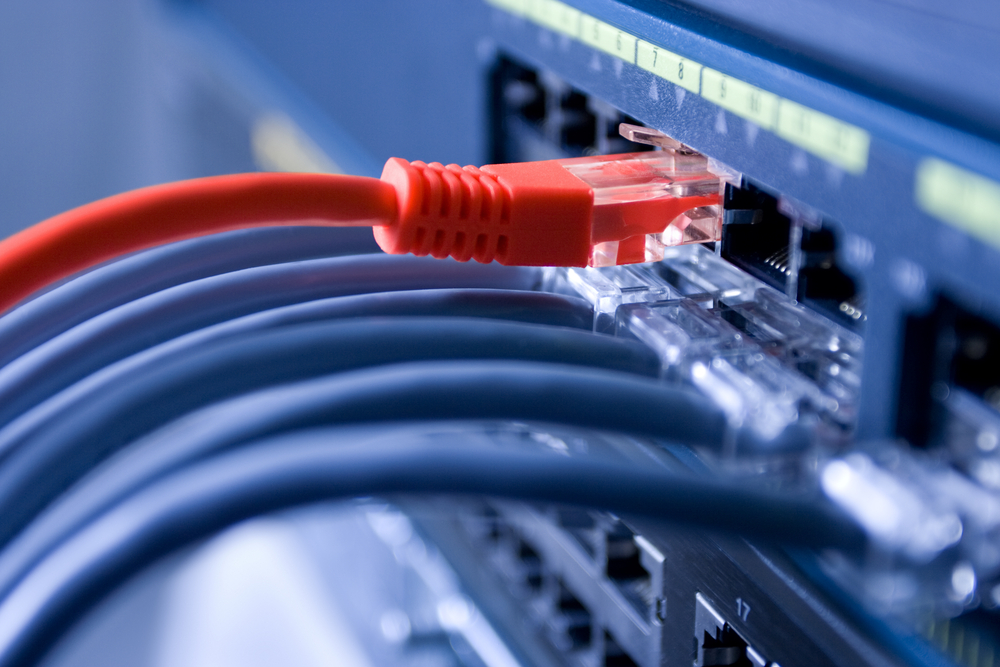Ethernet cables are connected to internet switch